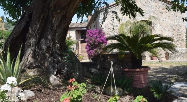 Agriturismo Fellino, Varaa Hotelli Rossano Calabria