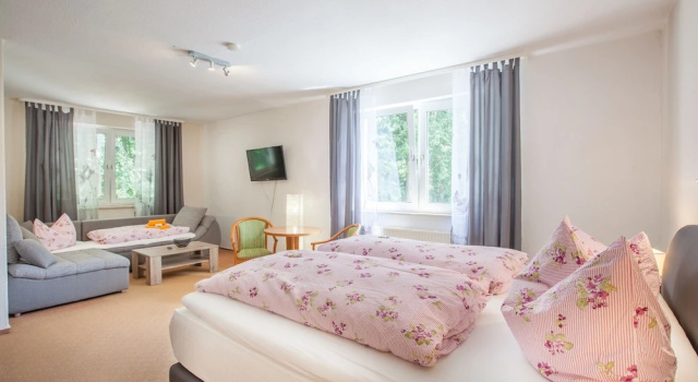 Трёхместный номер Standard Sporthotel Wernigerode