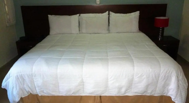 Одноместный номер Standard Hotel Poblado Campestre