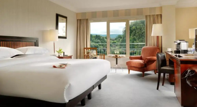 Двухместный номер Executive Herbert Park Hotel and Park Residence