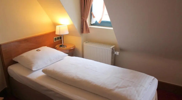 Одноместный номер Standard Dürer-Hotel