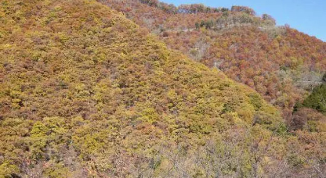 Kainokuni Yamato Nature School, Réserver Hôtel Koshu Yamanashi