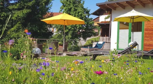 Апартаменты BIO Appartement Resort