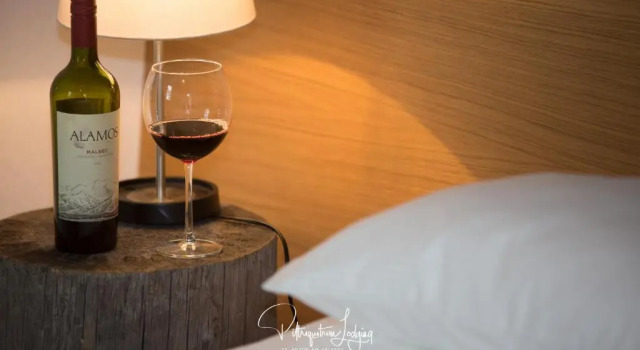Двухместный номер Standard Piltriquitron Lodging