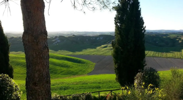 Апартаменты Tuscany Balcony: Crete Senesi