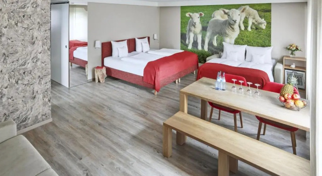 Номер Deluxe Hotel Lamm