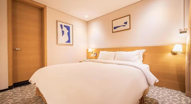 Двухместный номер Deluxe Benikea Hotel Bizinn