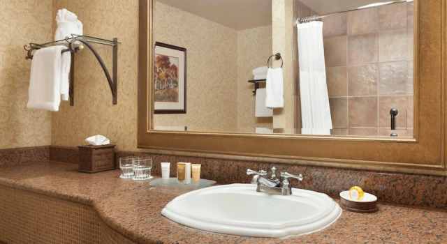 Двухместный номер Standard с видом на озеро Chateau on the Lake Resort Spa and Convention Center