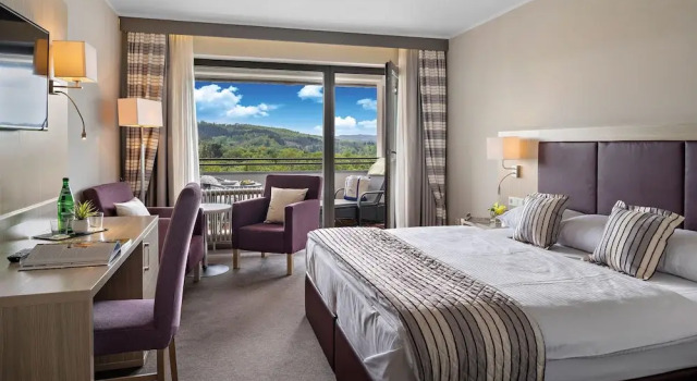Номер Comfort Hotel Diehlberg