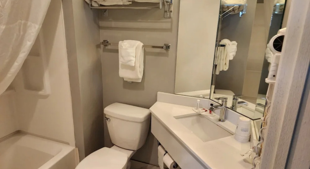 Business- værelse Windsor Place Inn