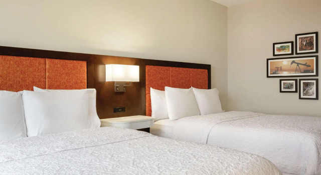 Четырёхместный номер Standard Hampton Inn & Suites Dallas-Mesquite