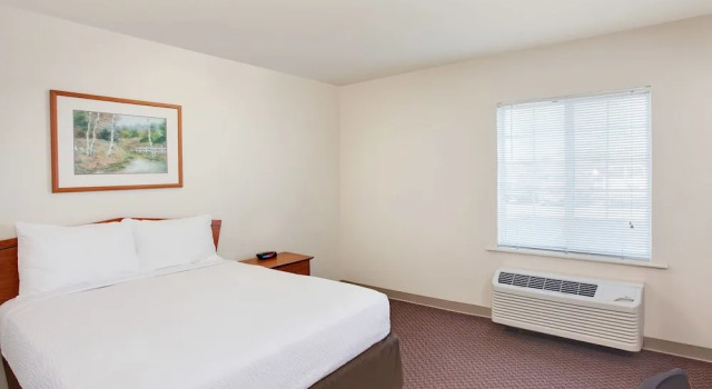 Номер Standard WoodSpring Suites Harlingen