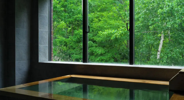 Suite con vista sulle montagne Suigan