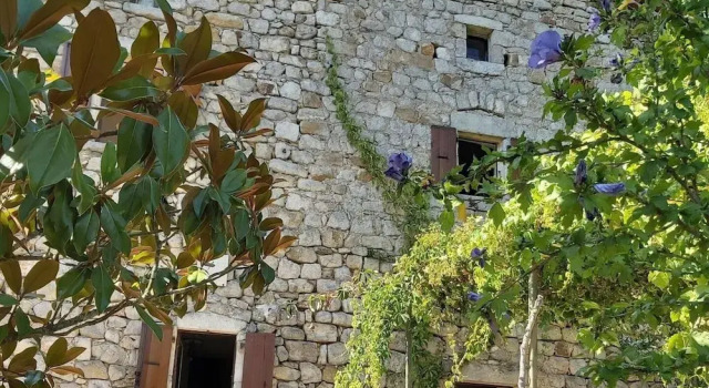 Charming Stone House, Забронировать Дом для отпуска Виллы Овернь-Рона-Альпы, Вилла
