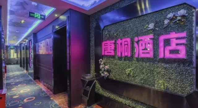 Люкс Business tang tong hotel