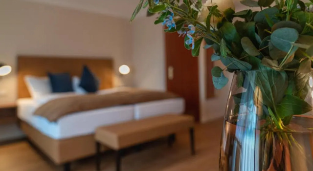 Двухместный номер Standard Parkhotel