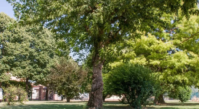 Agriturismo NUova Campagna, Buchen Sie Hotel Granarolo dell'Emilia Bologna und Umgebung