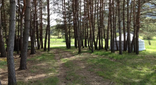 Тент Les insolites de la bastide