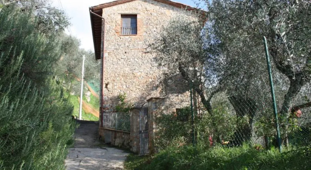 Antico Oliveto