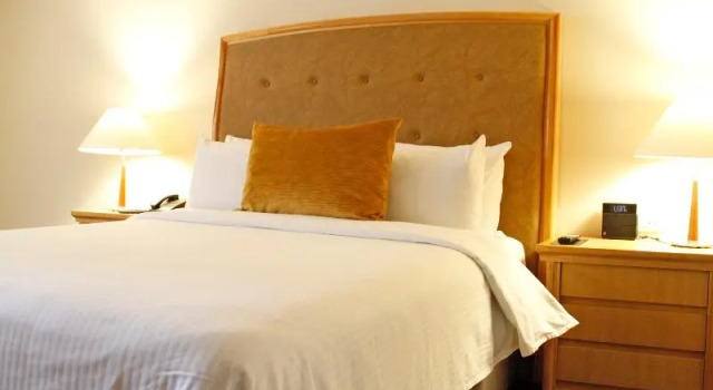 Одноместный номер Standard Hotel Riazor Aeropuerto