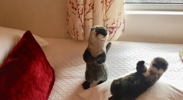 Коттедж Otter Lodge Auchterarder