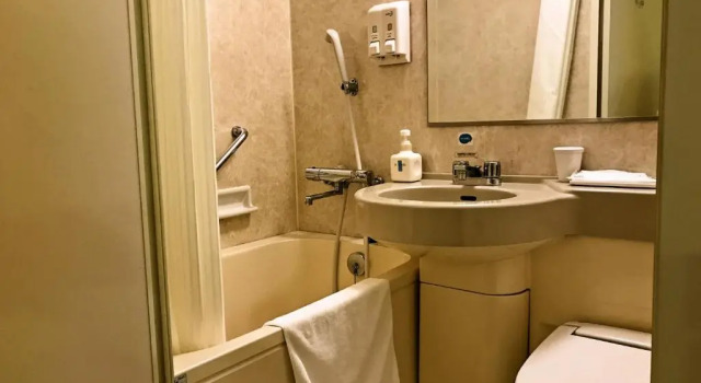 Двухместный номер Standard Iwaki Washington Hotel
