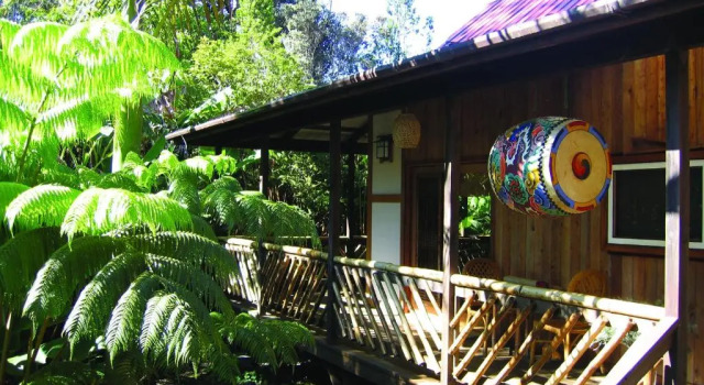 Люкс Lotus Garden Cottages