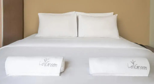 Deluxe Zimmer LeGreen Suite Penjernihan
