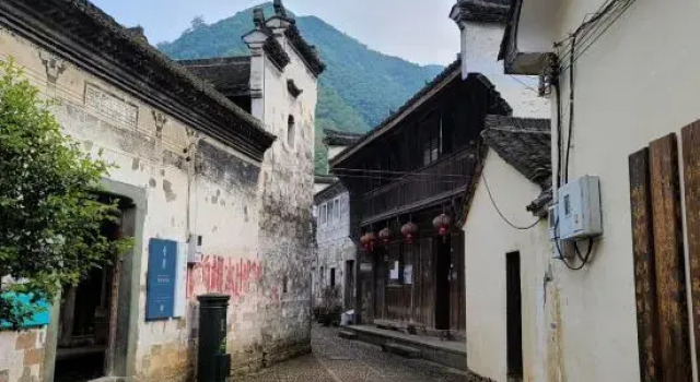 Two mus of Banvilla Tangquan Meisu (SHISHE Store)