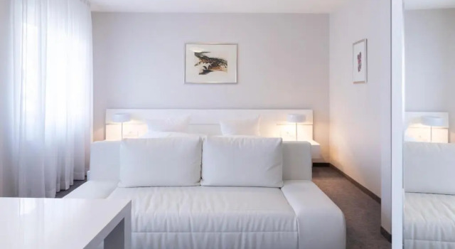 Номер Superior Hotel Adler - Weil am Rhein