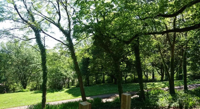 Pods @ Broadway, Book Hotel Laugharne Carmarthenshire