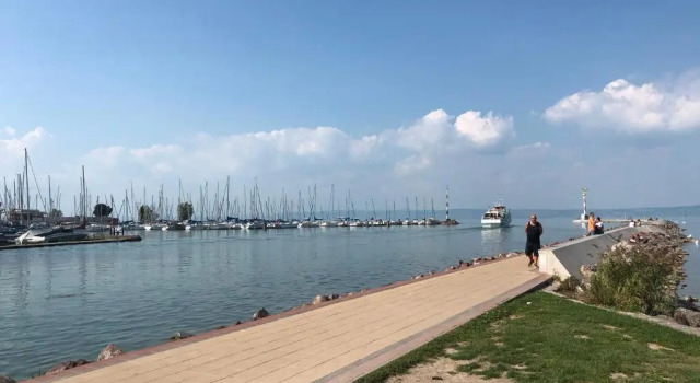 Апартаменты Dorina Wellness Apartman