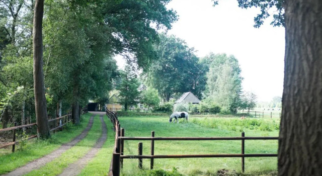 Коттедж Gastenverblijf Het Muzehuis