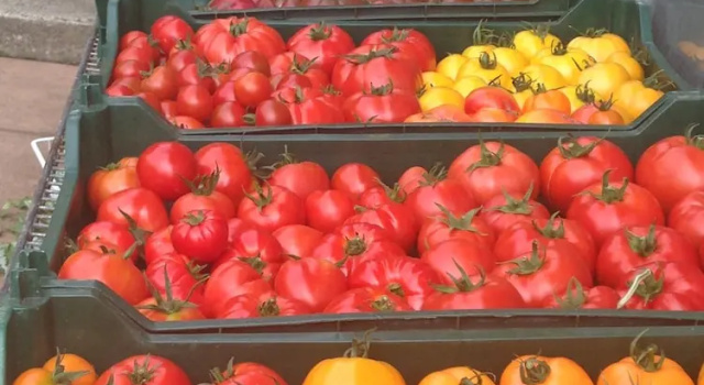 Nettles Farm, Prenota Agriturismo Lummi Island 