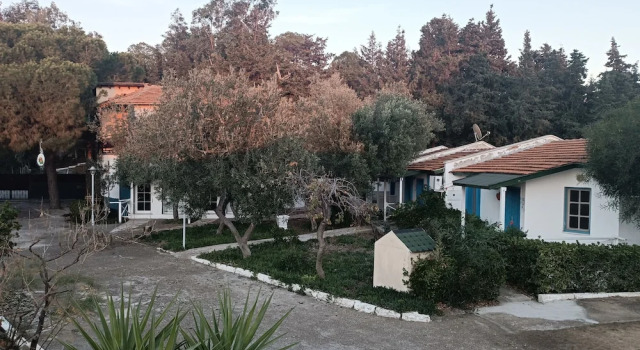 Номер Economy Teos Ormanci Tatil Koyu