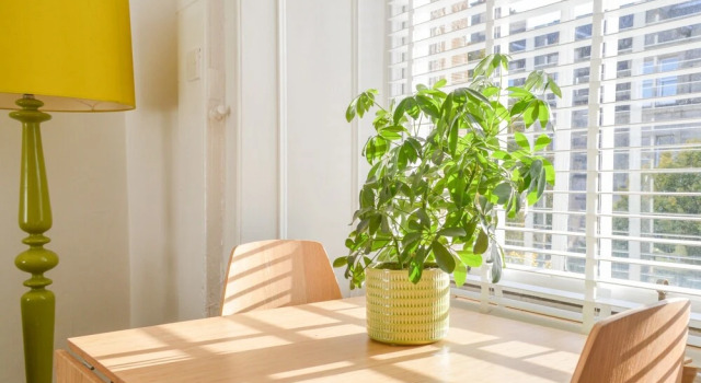 2 Bedroom Apartment in Leith Edinburgh, Prenota Appartamento Hotel a Midlothian con parcheggio, Parcheggio