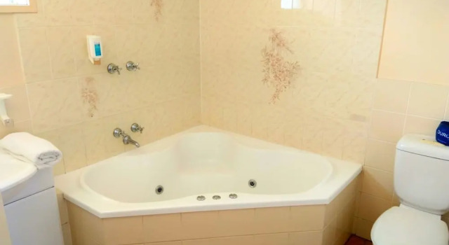 Номер Standard Australia Park Motel