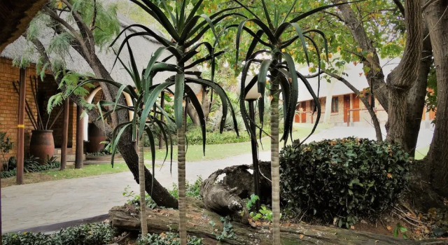 Номер Standard Klein Bosveld Guest House