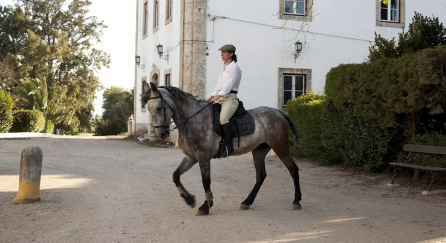 Quinta dos Álamos Agroturismo, Prenota Hotel Golegã Ribatejo