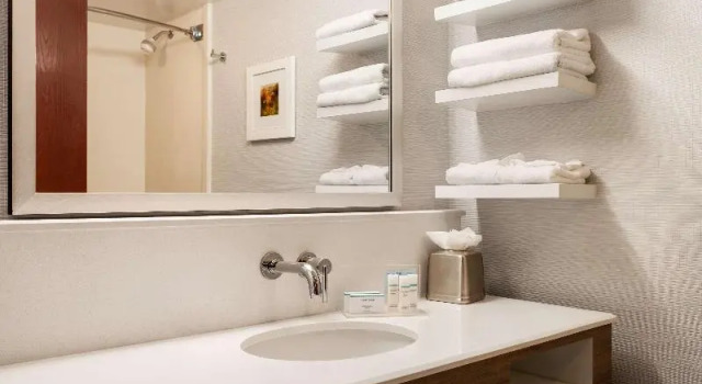 Двухместный номер Standard с видом на горы Hampton Inn & Suites Denver-Cherry Creek