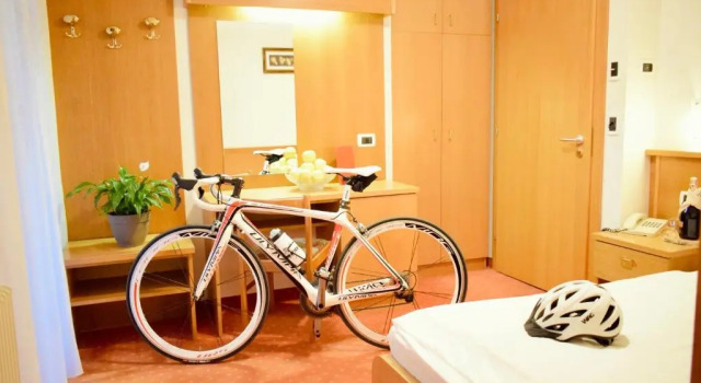 Номер Standard Hotel Waldheim