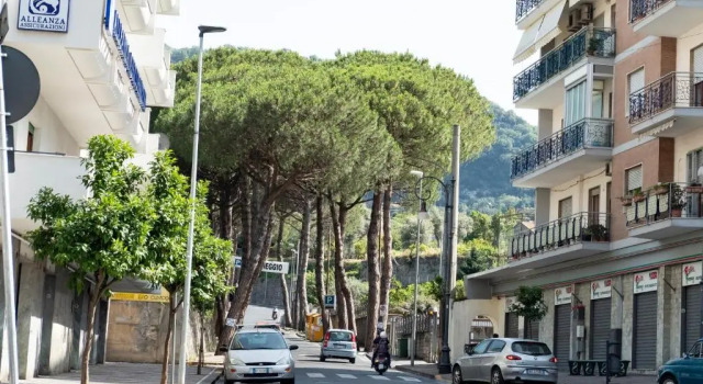 My Home Sorrento