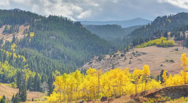Коттедж 7 Mi to Bighorn Natl Forest: Dog-friendly Home