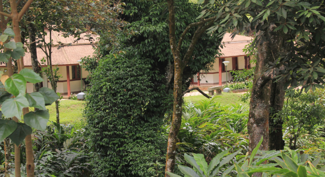 Вилла Carmelia Haven Resort Thekkady