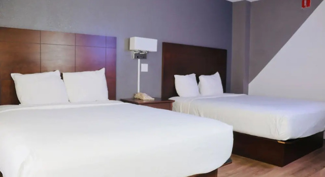 Четырёхместный номер Superior Plaza Hotel Fort Lauderdale