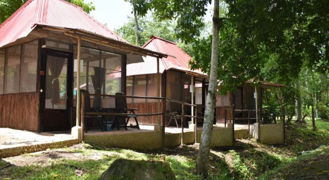 Двухместный номер Cabañas Kin Balam Palenque