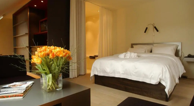 Студия Sorell Hotel Rigiblick - Studios & Spa Suites