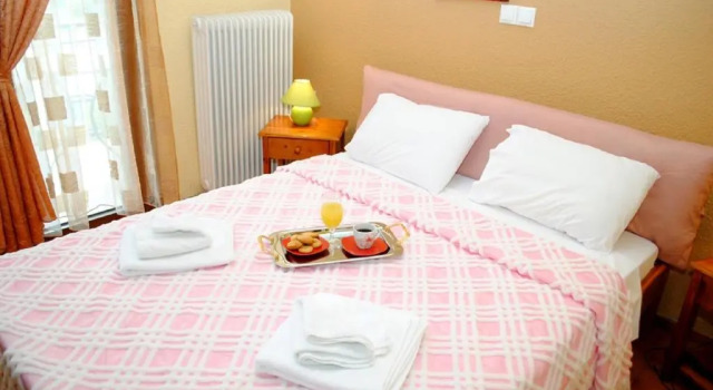 Номер Standard Hotel Aoos