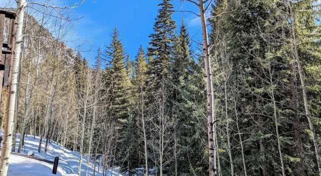 Trappers Crossing 8769, 预订 公寓 基斯通 Roosevelt National Forest
