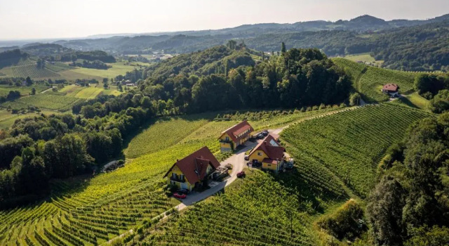 Weingut-Gästehaus Birnstingl, Book Hotel Gamlitz Styrian Wine Road